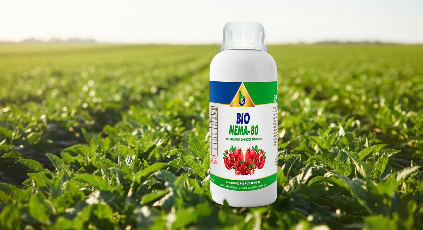 video popup bg image