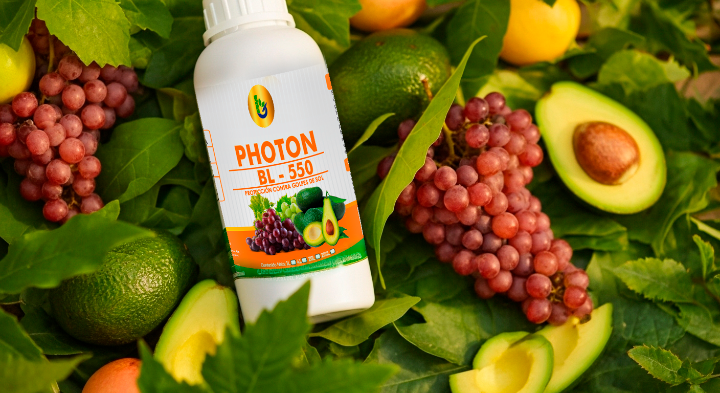 video popup bg image